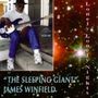 James Winfield: Lonely Lonely Nights, CD