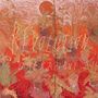 Operazioni: REvolution, LP