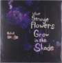 Joseph Allred: What Strange Flowers Grow In The Shade, LP