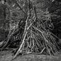 Text: „Joseph Allred“ und „The Old Gods“. Ein großes Tipi aus Ästen im dichten Wald. Schwarz-weiß gehalten.