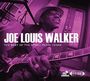 Joe Louis Walker: The Best Of The Stony Plain Years, CD