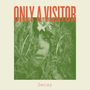 Only A Visitor: Decay (col.Vinyl), LP