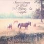 Bill Callahan: Sometimes I Wish We Were An Eagle, LP