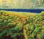 Mick Turner: Don't Tell The Driver, CD