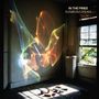 In the Pines: Sunbeam Dream, LP