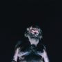 Nothing: The Great Dismal, LP
