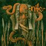 Nile: Black Seeds Of Vengeance, CD
