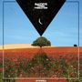 Text: "BALTHVS THIRD VIBRATION" und "STEREO". Dreieck über Wüstenlandschaft mit Baum und Feld voller bunter Blumen. 