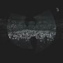Wu-Tang Clan: Enter The Wu-Tang  - Live From N.Y. (Limited Recycled Color Vinyl), LP