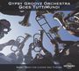 Gypsy Groovz Orchestra: Night Train For Lovers..., CD