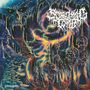 Scorching Tomb: Ossuary, CD