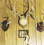 Adult.: Gimmie Trouble, LP