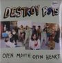 Destroy Boys: Open Mouth Open Heart (Purple Vinyl), LP