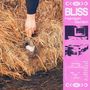 Rechte Seite zeigt "BLISS" von Harrison Gordon, Trackliste darunter. Links steckt eine Hand im Gras in einem Schuh.