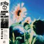 „tv star MUSIC FOR HEADS“, Trackliste. Verschwommene Sonnenblumen vor blauem Himmel. Schwarz-weißes Foto links.
