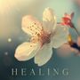 Diverse: Healing, CD
