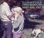 Turnpike Troubadours: Goodbye Normal Street, CD