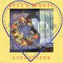 Syko Friend: Dizzy Magic, LP