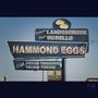 Jermaine Landsberger & Paulo Morello: Hammond Eggs, CD