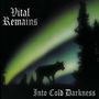 Vital Remains: Into Cold Darkness (30th Anniversary CD), CD