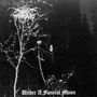 Darkthrone: Under A Funeral Moon (180g), LP