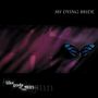 Oben der Text "MY DYING BRIDE", unten "like gods of the sun". Ein Schmetterling mit blauen und schwarzen Flügeln.