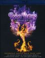 "Deep Purple: Phoenix Rising. Coverdale, Hughes, Bolin, Paice, Lord. Flammen-Phönix in Lila und Orange."