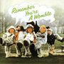 The Wombles: Remember You'Re A Womble, CD