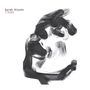 Sarah Blasko: I Awake, CD