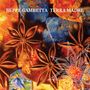 Beppe Gambetta: Terra Madre, CD