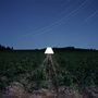 Beacon: Escapements, LP