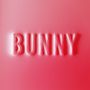 Matthew Dear: Bunny, LP,LP