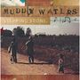 : Muddy Waters: Stepping Stone (3CD + DVD), CD,CD,CD,CD