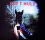 Gov't Mule: Gov't Mule, CD