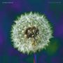 The Bevis Frond: Focus On Nature, LP,LP