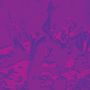 Bardo Pond: ACID GURU POND (Reissue 2025), LP,LP