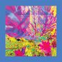 Reds: THE PAST IS A GARDEN I NEVER FED (Sky Blue Vinyl), LP