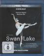 : Royal Ballet - Schwanensee, BR