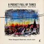 Texte: "A POCKET FULL OF TUNES", "David Hackbridge Johnson – Solo Works", "Peter Sheppard Skærved, viola & violin". Illustration: Bunte Landschaft mit Gebäuden und Sonnenuntergangsfarben.