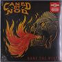 Caned By Nod: None The Wiser, LP
