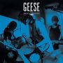 "Geese - Live at Third Man Records" in weißen Buchstaben; Musiker spielen energetisch auf einer Bühne, in Blautönen.