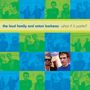 The Loud Family And Anton Barbeau: What If It Works?, CD