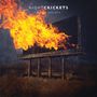 Night Crickets: A Free Society, LP