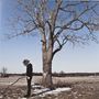 Es gibt keinen Text. Eine Person steht neben einem großen kahlen Baum auf einem Feld mit etwas Schnee. Der Himmel ist blau.