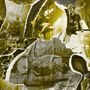 Youth Fountain: Stuck In My Own Hell (Black In Clear w/ White & Gold Splatter Vinyl), LP,LP