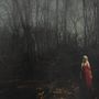 Leider kann ich den Text im Bild nicht erkennen. Es zeigt eine Person in einem roten Kleid, stehend in einem düsteren Wald.
