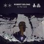 Robert DeLong: In The Cards (180g), LP,LP