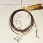 Jaco Pastorius: Modern American Music...Period (Multi-Colored Vinyl), LP