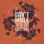 Gov't Mule: The Tel-Star Sessions (180g), LP