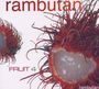 : Rambutan Fruit 4, CD